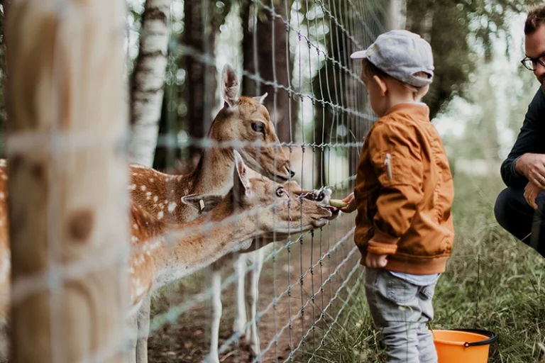 camping abri cotier proche du zoo