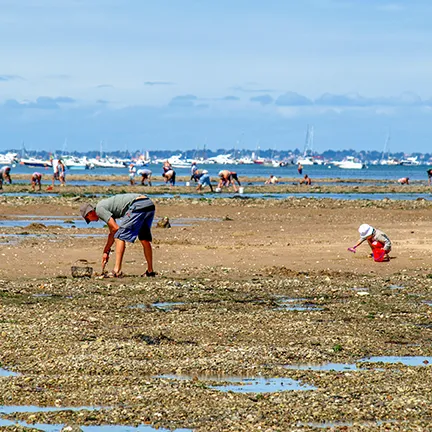 peche charente maritime