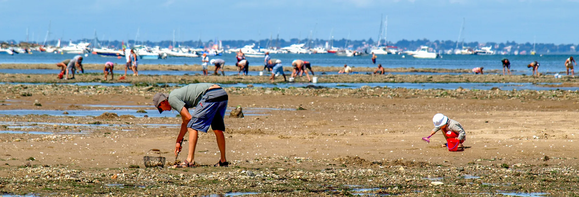 peche pied charente maritime