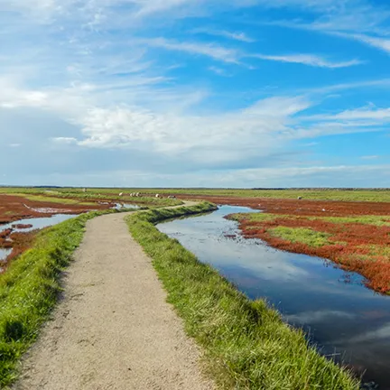 reserve naturelle moeze oleron