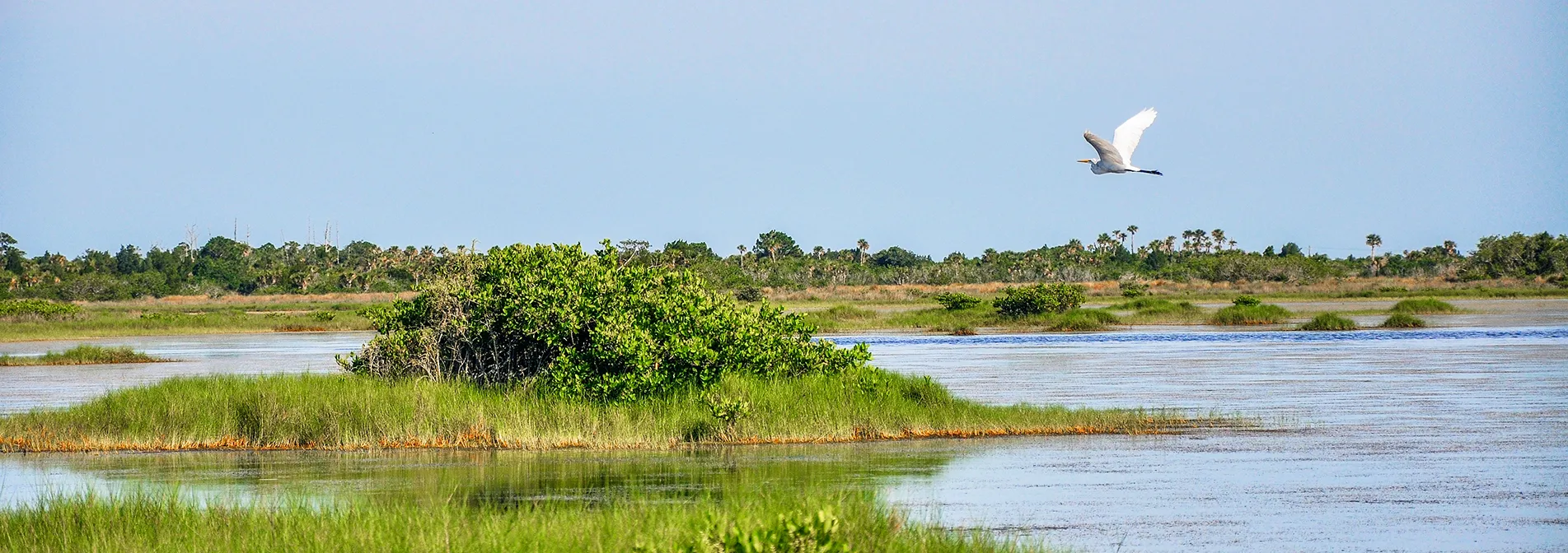 visiter marais oiseaux ile oleron