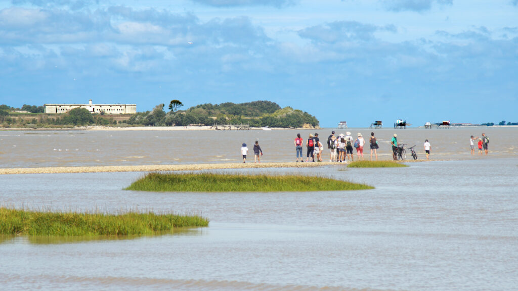 rochefort ocean PDB ileMadame┬®ChrysECALE (6)